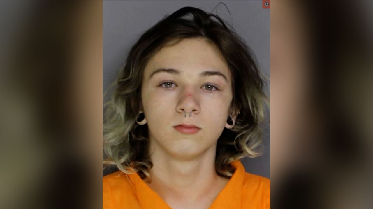 Pennsylvania teenager charged with homicide after Instagram video confession